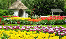 Цветочный фестиваль в Голландии 2011 в парке тюльпанов Keukenhof